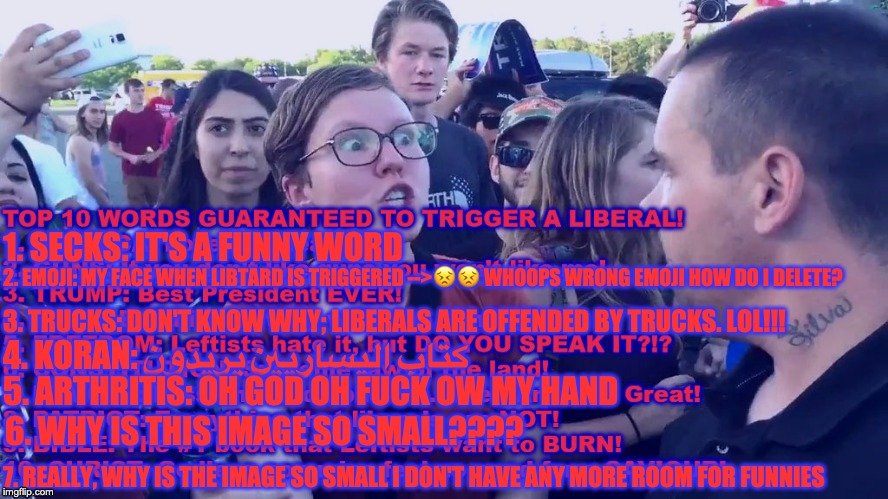 1. SECKS: IT'S A FUNNY WORD 3. TRUCKS: DON'T KNOW WHY; LIBERALS ARE OFFENDED BY TRUCKS. LOL!!! 2. EMOJI: MY FACE WHEN LIBTARD IS TRIGGERED - | made w/ Imgflip meme maker