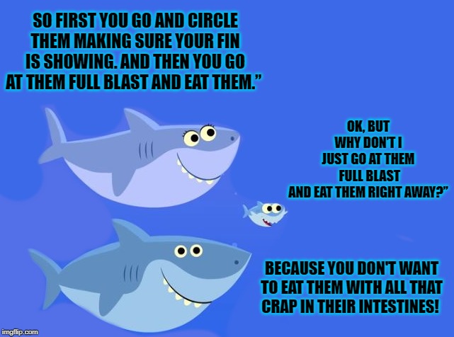 teaching baby shark | SO FIRST YOU GO AND CIRCLE THEM MAKING SURE YOUR FIN IS SHOWING. AND THEN YOU GO AT THEM FULL BLAST AND EAT THEM.”; OK, BUT WHY DON’T I JUST GO AT THEM
 FULL BLAST AND EAT THEM RIGHT AWAY?”; BECAUSE YOU DON'T WANT TO EAT THEM WITH ALL THAT CRAP IN THEIR INTESTINES! | image tagged in sharks,how to eat people | made w/ Imgflip meme maker