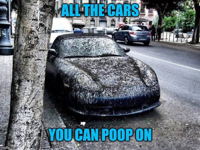 ALL THE CARS YOU CAN POOP ON | made w/ Imgflip meme maker