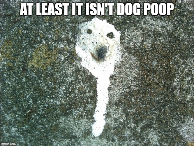 AT LEAST IT ISN'T DOG POOP | made w/ Imgflip meme maker