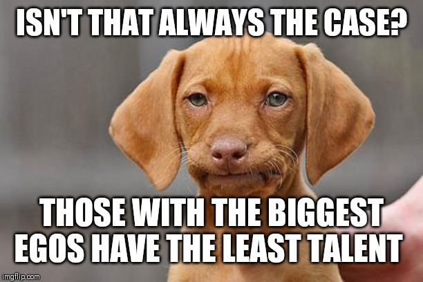 Dissapointed puppy | ISN'T THAT ALWAYS THE CASE? THOSE WITH THE BIGGEST EGOS HAVE THE LEAST TALENT | image tagged in dissapointed puppy | made w/ Imgflip meme maker
