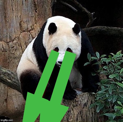 Laser panda | image tagged in laser panda | made w/ Imgflip meme maker