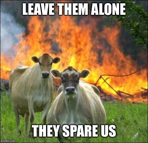 Evil Cows Meme | LEAVE THEM ALONE THEY SPARE US | image tagged in memes,evil cows | made w/ Imgflip meme maker