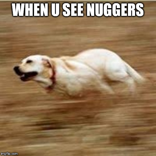 Speedy doggo | WHEN U SEE NUGGERS | image tagged in speedy doggo | made w/ Imgflip meme maker