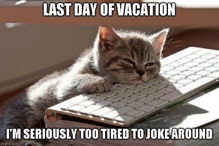 Going back to work to get some rest | LAST DAY OF VACATION; I'M SERIOUSLY TOO TIRED TO JOKE AROUND | image tagged in too tired | made w/ Imgflip meme maker