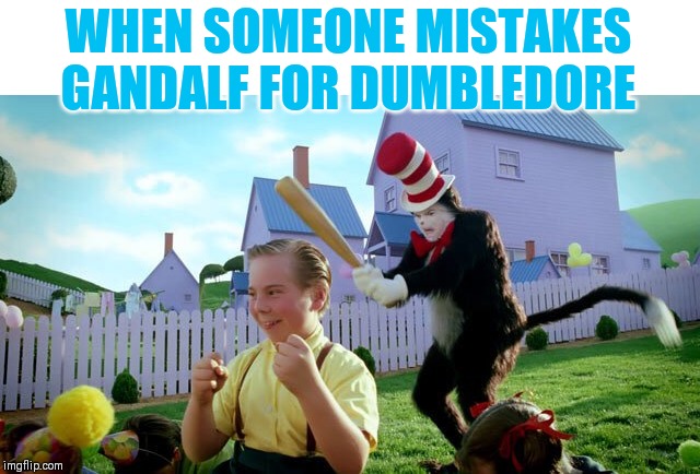 All of those wizards look the same to me ⁽⁽ଘ( ˊᵕˋ )ଓ⁾⁾ | WHEN SOMEONE MISTAKES GANDALF FOR DUMBLEDORE | image tagged in cat  the hat | made w/ Imgflip meme maker