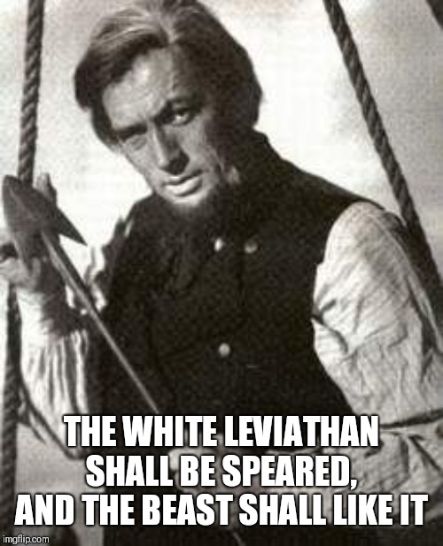 Moby Dick'd  | THE WHITE LEVIATHAN SHALL BE SPEARED, AND THE BEAST SHALL LIKE IT | image tagged in moby dick'd | made w/ Imgflip meme maker