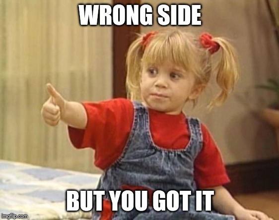 You got it... | WRONG SIDE BUT YOU GOT IT | image tagged in you got it | made w/ Imgflip meme maker