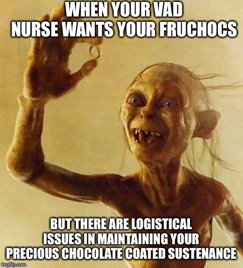 My precious Gollum | WHEN YOUR VAD NURSE WANTS YOUR FRUCHOCS; BUT THERE ARE LOGISTICAL ISSUES IN MAINTAINING YOUR PRECIOUS CHOCOLATE COATED SUSTENANCE | image tagged in my precious gollum | made w/ Imgflip meme maker