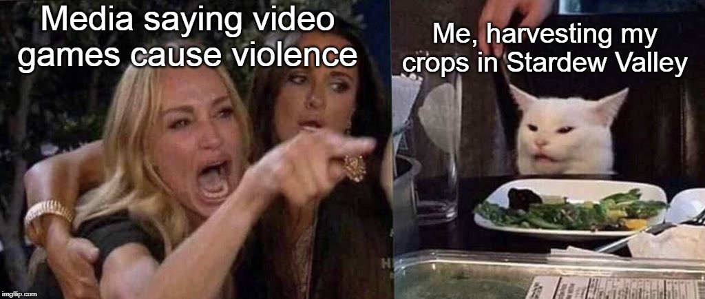 Media is ridiculous | Media saying video games cause violence; Me, harvesting my crops in Stardew Valley | image tagged in woman yelling at cat | made w/ Imgflip meme maker