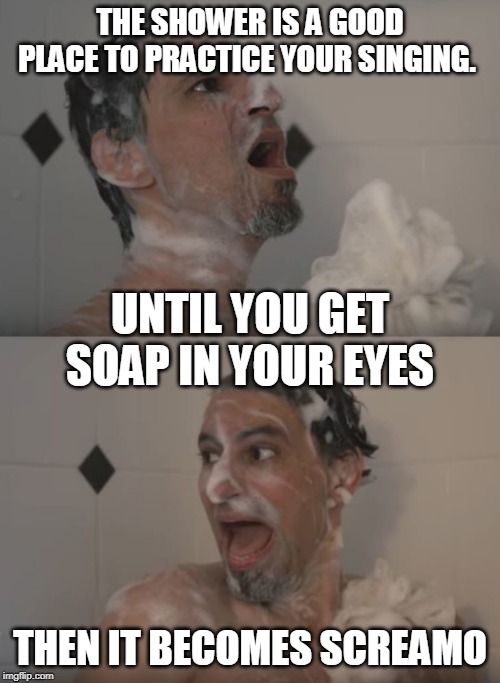SHOWER SCREAMO | THE SHOWER IS A GOOD PLACE TO PRACTICE YOUR SINGING. UNTIL YOU GET SOAP IN YOUR EYES; THEN IT BECOMES SCREAMO | image tagged in scream,shower,singing,memes | made w/ Imgflip meme maker