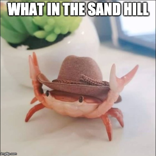 This might be the cleanest meme I have ever created. | WHAT IN THE SAND HILL | image tagged in cowboy crab,sand hill,sam hill,wtf | made w/ Imgflip meme maker