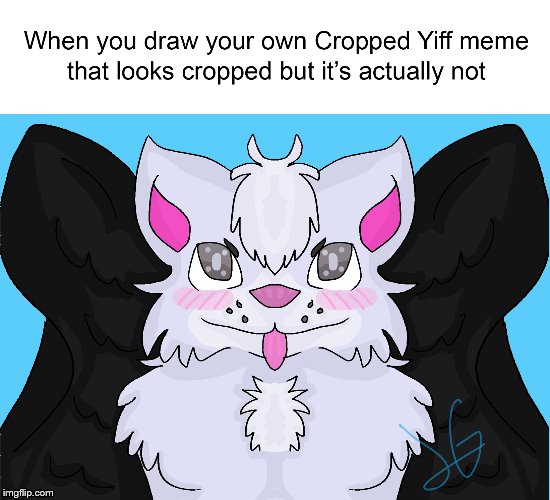 Art is mine | image tagged in cropped yiff,art,cute,cat,furry | made w/ Imgflip meme maker