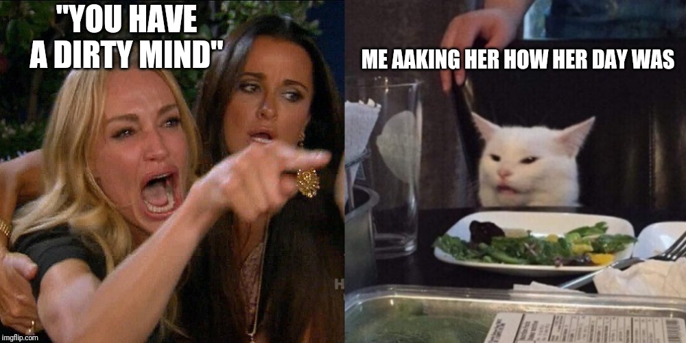 Woman yelling at cat | "YOU HAVE A DIRTY MIND"; ME AAKING HER HOW HER DAY WAS | image tagged in woman yelling at cat | made w/ Imgflip meme maker