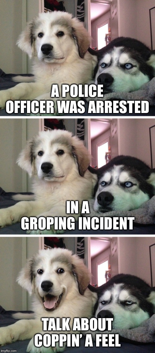 thank god for the ferrari | A POLICE OFFICER WAS ARRESTED; IN A GROPING INCIDENT; TALK ABOUT COPPIN’ A FEEL | image tagged in bad pun dogs | made w/ Imgflip meme maker