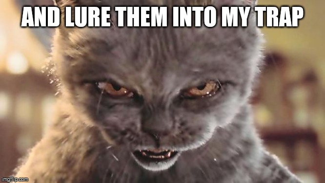 Evil Cat | AND LURE THEM INTO MY TRAP | image tagged in evil cat | made w/ Imgflip meme maker