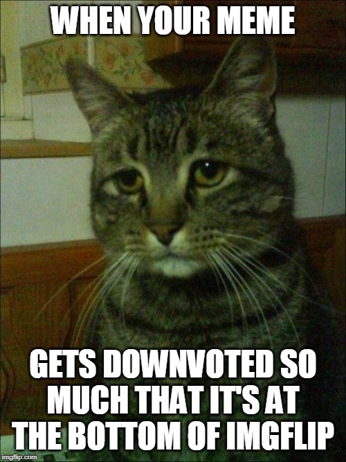 Depressed Cat | WHEN YOUR MEME; GETS DOWNVOTED SO MUCH THAT IT'S AT THE BOTTOM OF IMGFLIP | image tagged in memes,depressed cat | made w/ Imgflip meme maker