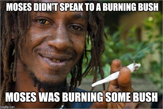 Jamaican | MOSES DIDN'T SPEAK TO A BURNING BUSH; MOSES WAS BURNING SOME BUSH | image tagged in jamaican | made w/ Imgflip meme maker