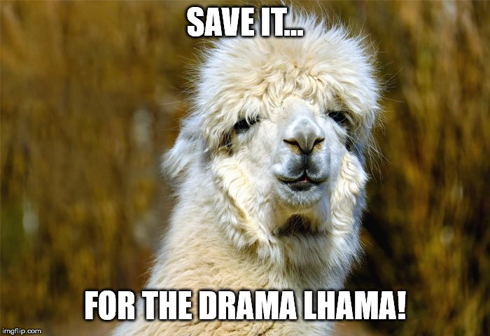 Lhama | SAVE IT... FOR THE DRAMA LHAMA! | image tagged in lhama | made w/ Imgflip meme maker