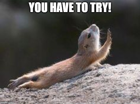Prairie dog reaching | YOU HAVE TO TRY! | image tagged in prairie dog reaching | made w/ Imgflip meme maker