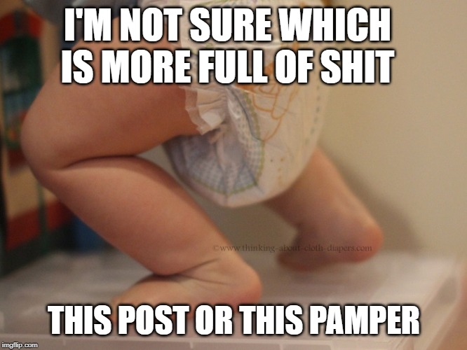 this post is FOS | I'M NOT SURE WHICH IS MORE FULL OF SHIT; THIS POST OR THIS PAMPER | image tagged in full of shit,full diaper,your post sucks,this post sucks | made w/ Imgflip meme maker