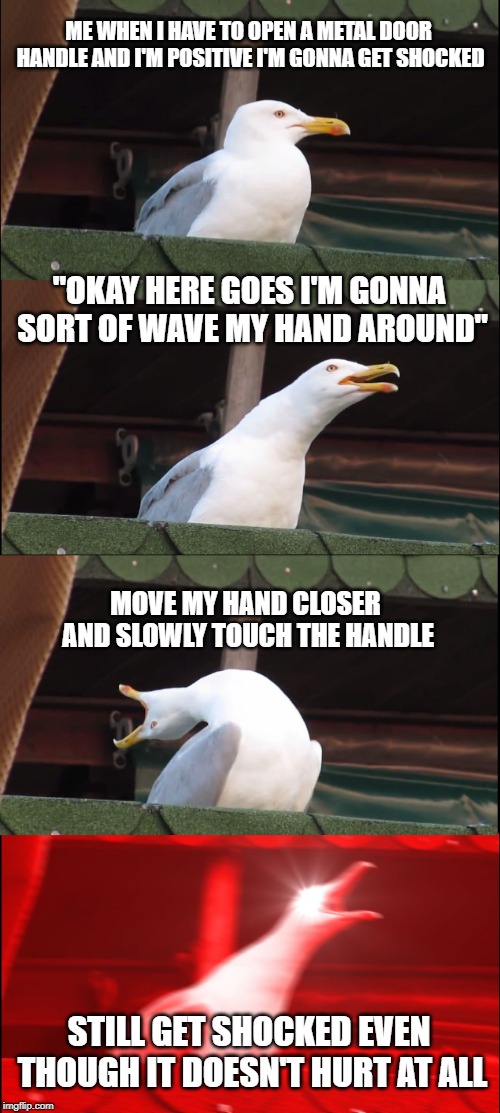 Doorhandle roulette | image tagged in inhaling seagull | made w/ Imgflip meme maker