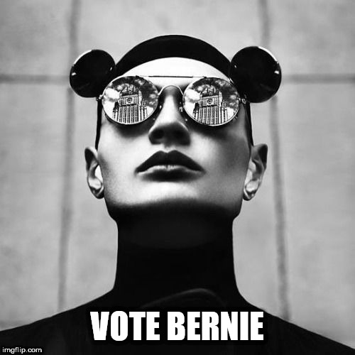 Democrat | VOTE BERNIE | image tagged in democrat | made w/ Imgflip meme maker