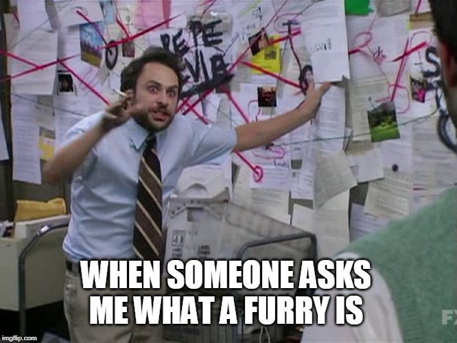Charlie Conspiracy (Always Sunny in Philidelphia) | WHEN SOMEONE ASKS ME WHAT A FURRY IS | image tagged in charlie conspiracy always sunny in philidelphia | made w/ Imgflip meme maker