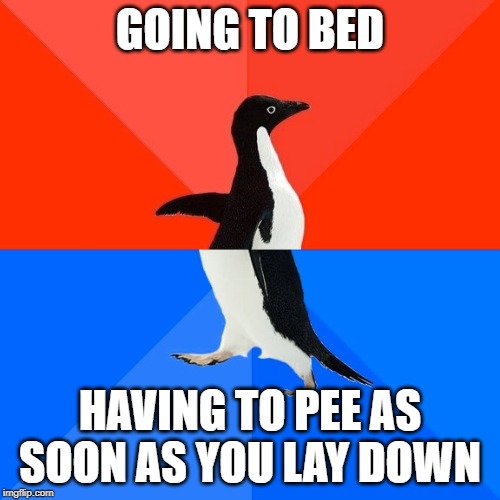 Socially Awesome Awkward Penguin | GOING TO BED; HAVING TO PEE AS SOON AS YOU LAY DOWN | image tagged in memes,socially awesome awkward penguin | made w/ Imgflip meme maker