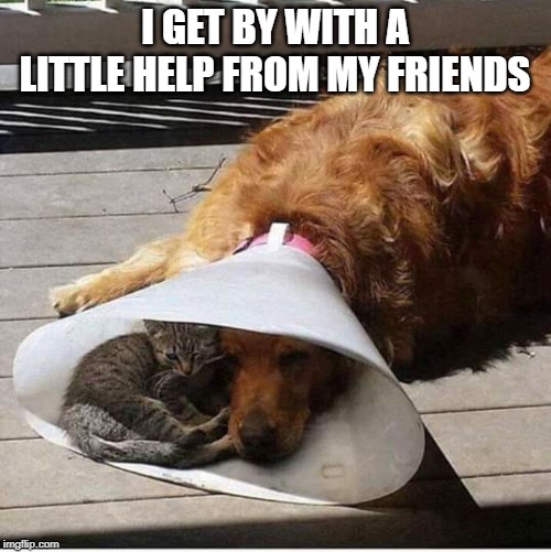 A friend in need | I GET BY WITH A LITTLE HELP FROM MY FRIENDS | image tagged in a friend in need | made w/ Imgflip meme maker