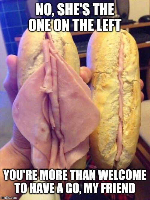 Women sandwich | NO, SHE'S THE ONE ON THE LEFT YOU'RE MORE THAN WELCOME TO HAVE A GO, MY FRIEND | image tagged in women sandwich | made w/ Imgflip meme maker
