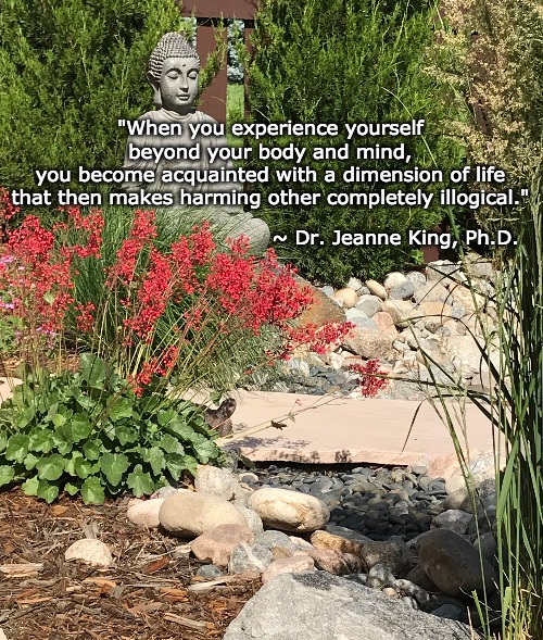 Healing Domestic Abuse | "When you experience yourself 
beyond your body and mind, 
you become acquainted with a dimension of life 
that then makes harming other completely illogical."; ~ Dr. Jeanne King, Ph.D. | image tagged in domestic abuse,healing,spirituality,domestic violence | made w/ Imgflip meme maker