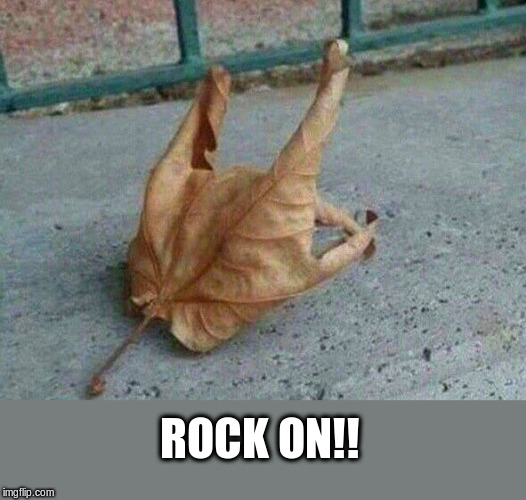 Rock and Roll Leaf | ROCK ON!! | image tagged in rock and roll,heavy metal,horns | made w/ Imgflip meme maker