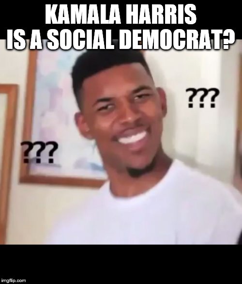 what the fuck n*gga wtf | KAMALA HARRIS IS A SOCIAL DEMOCRAT? | image tagged in what the fuck ngga wtf | made w/ Imgflip meme maker