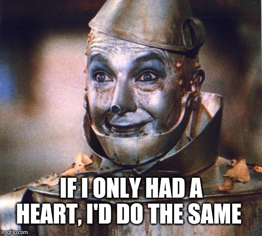 Tin Man | IF I ONLY HAD A HEART, I'D DO THE SAME | image tagged in tin man | made w/ Imgflip meme maker