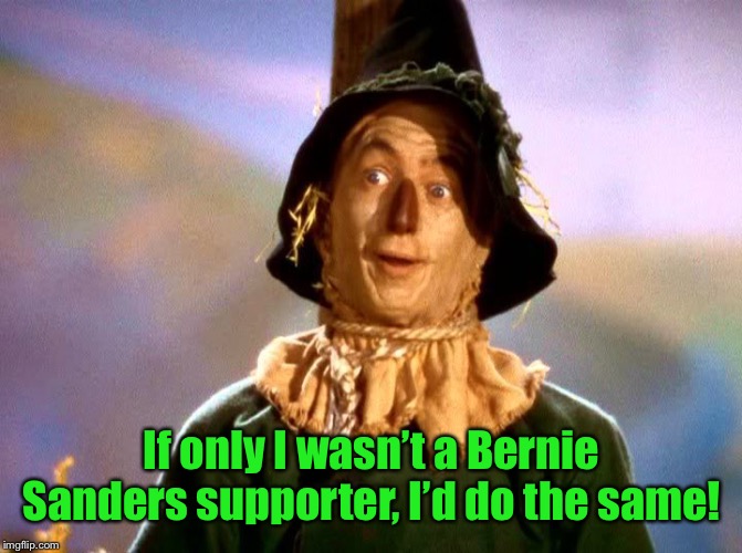 Wizard of Oz Scarecrow | If only I wasn’t a Bernie Sanders supporter, I’d do the same! | image tagged in wizard of oz scarecrow | made w/ Imgflip meme maker
