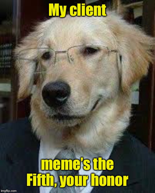And I was hoping to see him whine | My client; meme’s the Fifth, your honor | image tagged in attorney dog,fifth,memes,plea | made w/ Imgflip meme maker