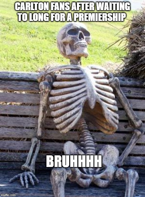 Carlton fans | CARLTON FANS AFTER WAITING TO LONG FOR A PREMIERSHIP; BRUHHHH | image tagged in memes,waiting skeleton | made w/ Imgflip meme maker