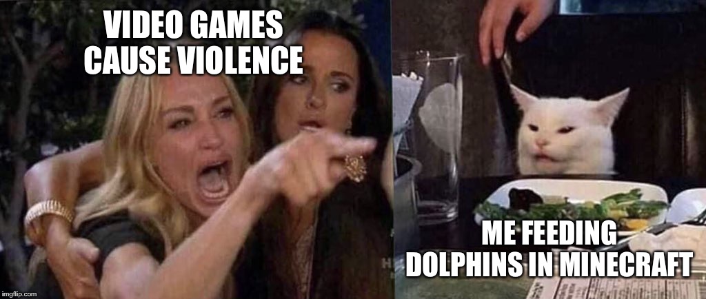woman yelling at cat | VIDEO GAMES CAUSE VIOLENCE; ME FEEDING DOLPHINS IN MINECRAFT | image tagged in woman yelling at cat | made w/ Imgflip meme maker