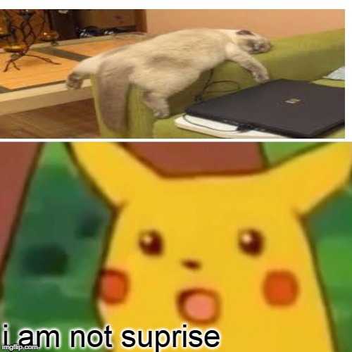 Surprised Pikachu Meme | i am not suprise | image tagged in memes,surprised pikachu | made w/ Imgflip meme maker