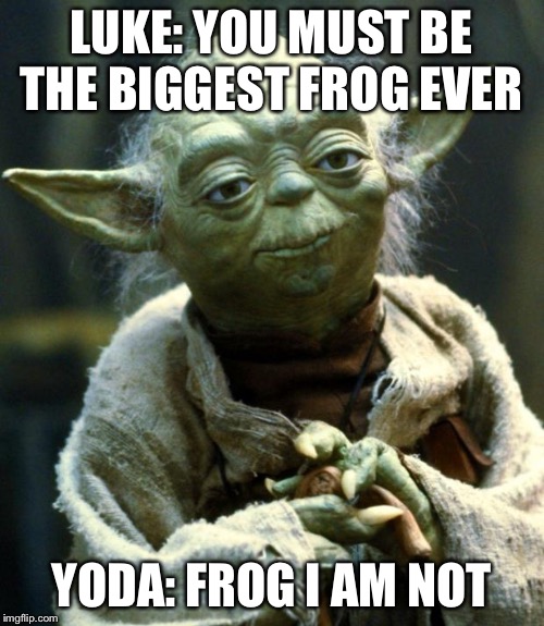 Star Wars Yoda | LUKE: YOU MUST BE THE BIGGEST FROG EVER; YODA: FROG I AM NOT | image tagged in memes,star wars yoda | made w/ Imgflip meme maker