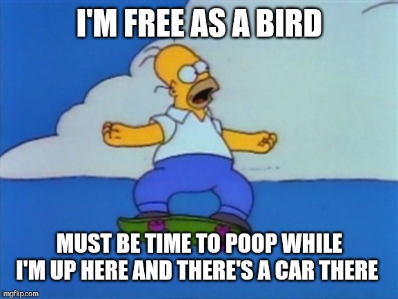 Homer Simpson skateboard jump | I'M FREE AS A BIRD MUST BE TIME TO POOP WHILE I'M UP HERE AND THERE'S A CAR THERE | image tagged in homer simpson skateboard jump | made w/ Imgflip meme maker
