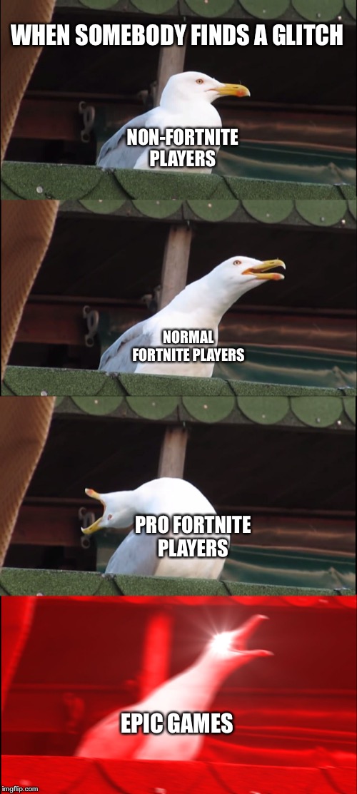 Inhaling Seagull Meme | WHEN SOMEBODY FINDS A GLITCH; NON-FORTNITE PLAYERS; NORMAL FORTNITE PLAYERS; PRO FORTNITE PLAYERS; EPIC GAMES | image tagged in memes,inhaling seagull | made w/ Imgflip meme maker
