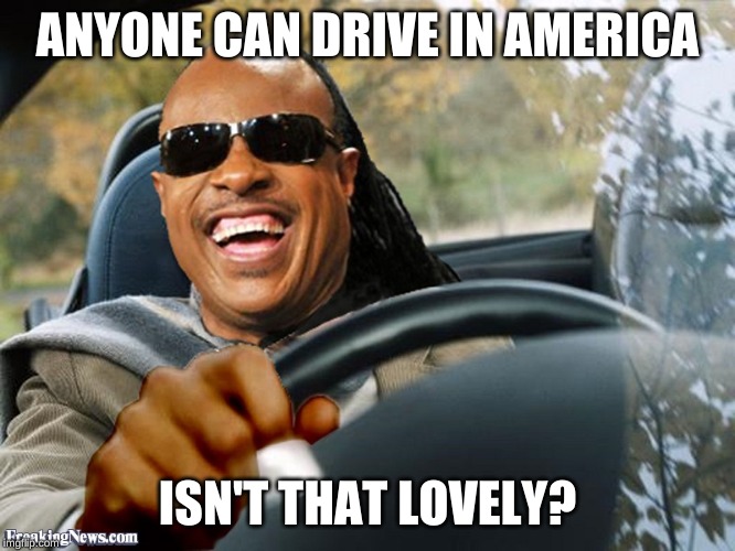 Stevie Wonder Driving | ANYONE CAN DRIVE IN AMERICA; ISN'T THAT LOVELY? | image tagged in stevie wonder driving | made w/ Imgflip meme maker