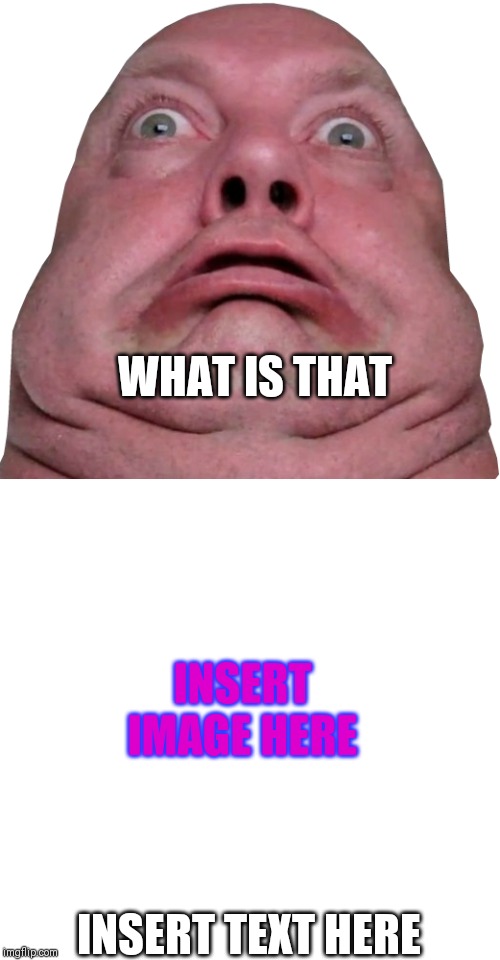 How this meme should be used | WHAT IS THAT; INSERT IMAGE HERE; INSERT TEXT HERE | image tagged in fat person being shocked | made w/ Imgflip meme maker