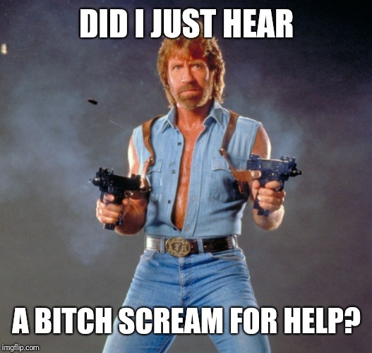 Chuck Norris Guns Meme | DID I JUST HEAR A B**CH SCREAM FOR HELP? | image tagged in memes,chuck norris guns,chuck norris | made w/ Imgflip meme maker