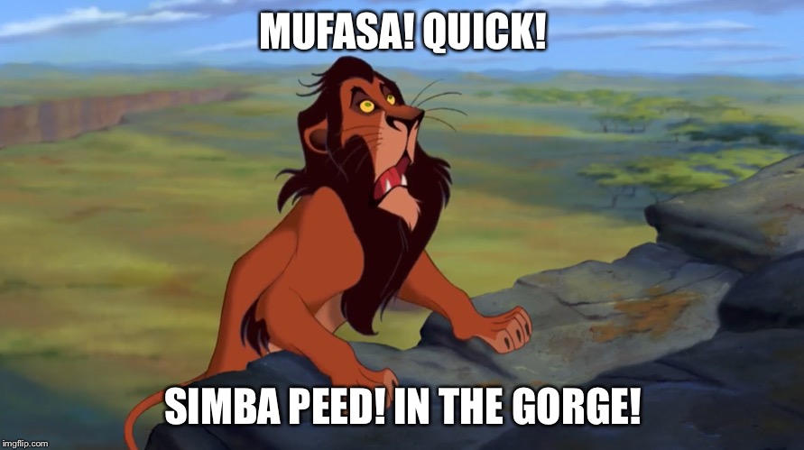 Simba Peed in the Gorge | MUFASA! QUICK! SIMBA PEED! IN THE GORGE! | image tagged in the lion king,lion king,simba peed in the gorge,mufasa quick,scar | made w/ Imgflip meme maker