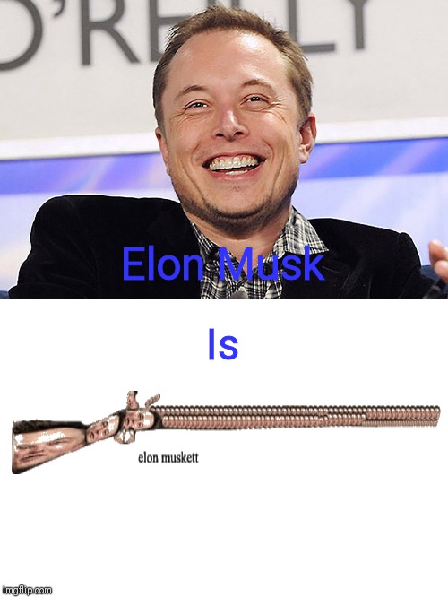 Elon Musk is a Musket | Elon Musk; Is | image tagged in elon musk | made w/ Imgflip meme maker