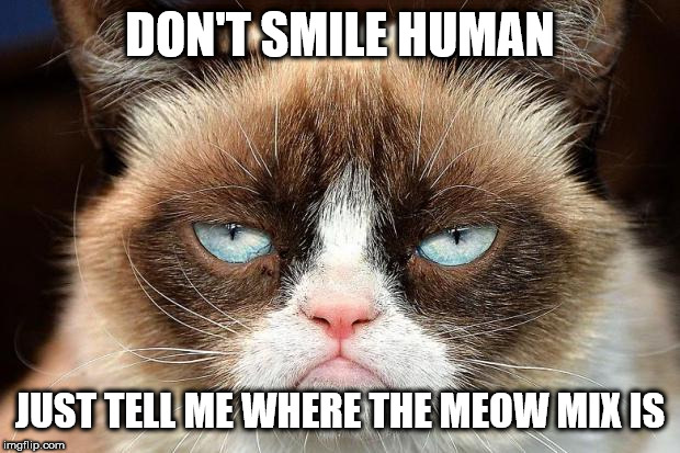 Grumpy Cat Not Amused Meme | DON'T SMILE HUMAN; JUST TELL ME WHERE THE MEOW MIX IS | image tagged in memes,grumpy cat not amused,grumpy cat | made w/ Imgflip meme maker