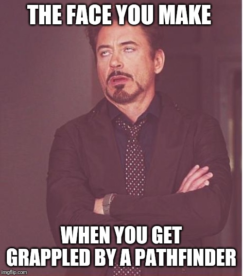 Face You Make Robert Downey Jr | THE FACE YOU MAKE; WHEN YOU GET GRAPPLED BY A PATHFINDER | image tagged in memes,face you make robert downey jr | made w/ Imgflip meme maker